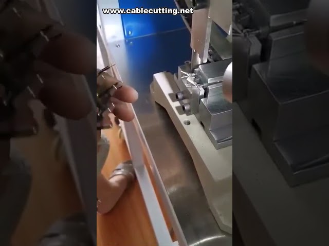 Semi-automatische 2-pins EU-stekker krimpmachine