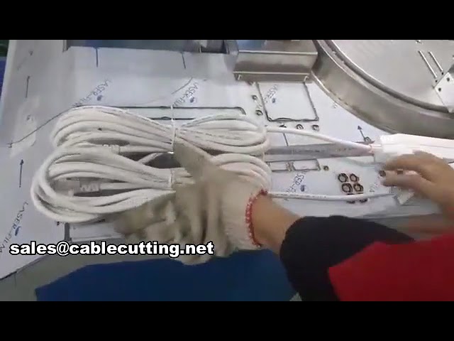 Automatic Wire Winding and Tying Machine WPM-81