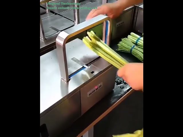 Kleurrijk OPP bindband voor automatische bandmachines – Hitteverzegeling voor groentebundels