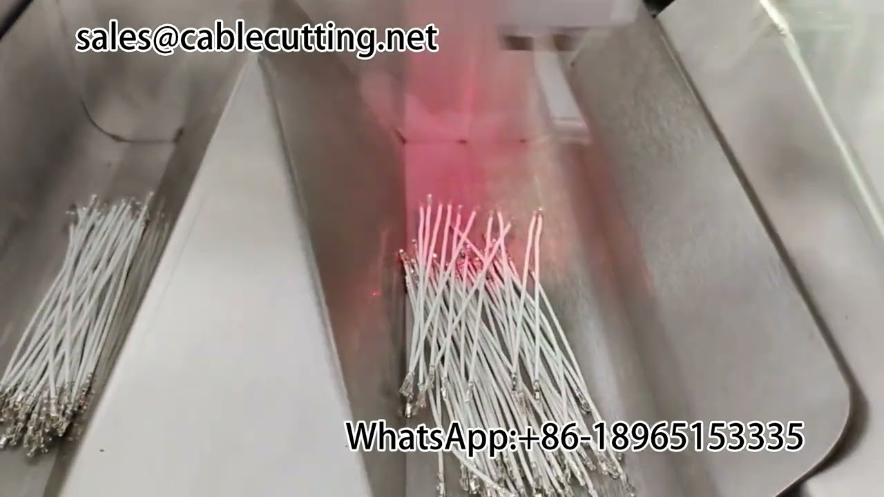 Double Head Termination Machine | Self-Service Automation Equipment | Stripping & Termina