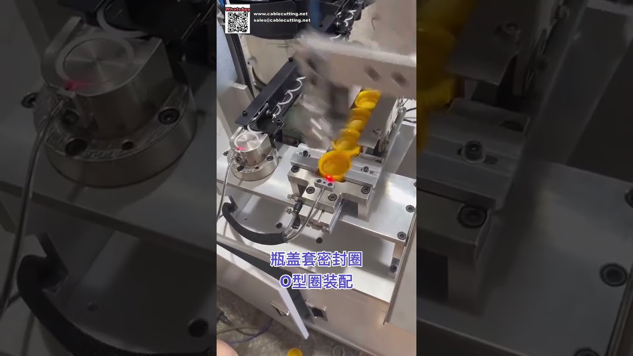 Exportkwaliteit Automatische O-Ring Montagemachine voor Silicone Afdichtingscomponenten