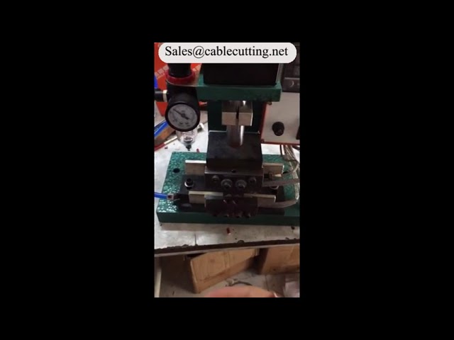 Electric Heat Stripping Machine WPM-20-15